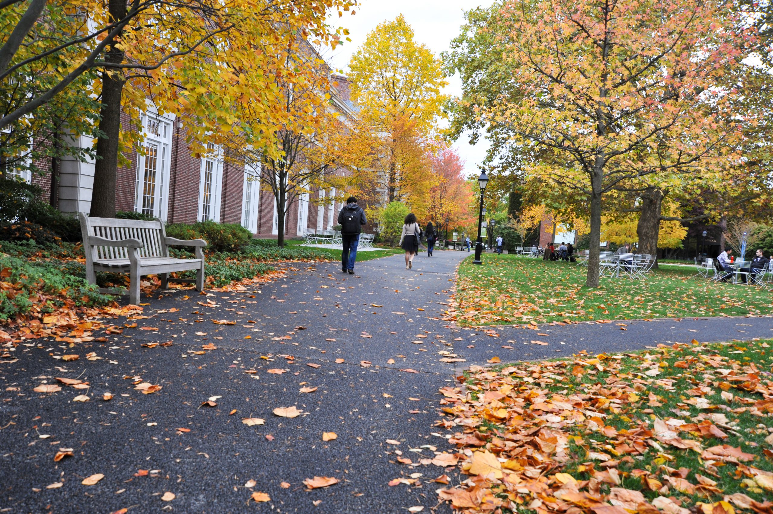 Campus Fall-scaled.jpg